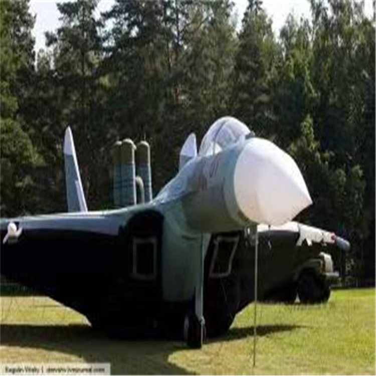 泰安充气模型飞机制造商家